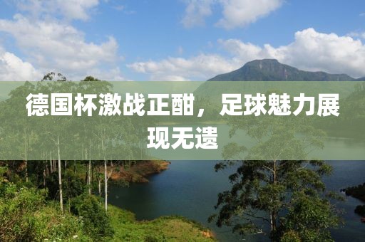 德国杯激战正酣，足球魅力展现无遗