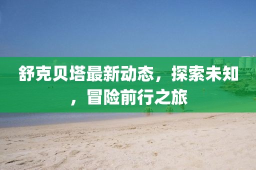 舒克贝塔最新动态，探索未知，冒险前行之旅
