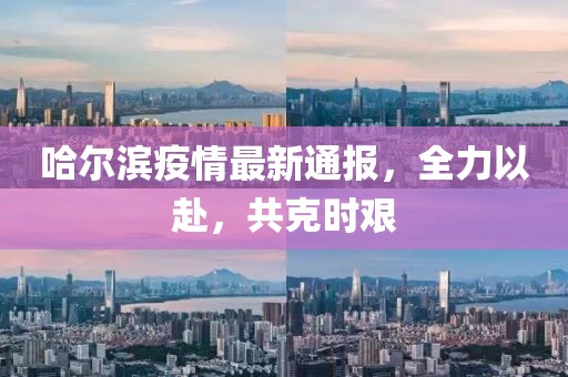 哈尔滨疫情最新通报，全力以赴，共克时艰