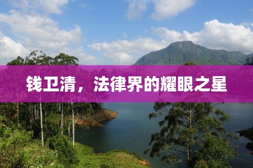 钱卫清，法律界的耀眼之星