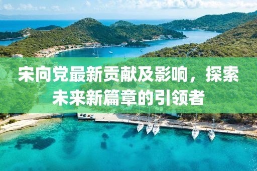 宋向党最新贡献及影响，探索未来新篇章的引领者