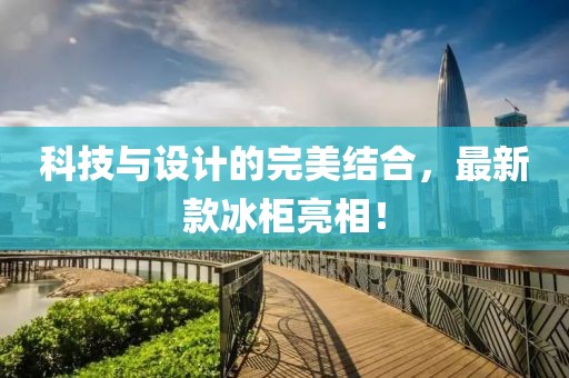 科技与设计的完美结合，最新款冰柜亮相！