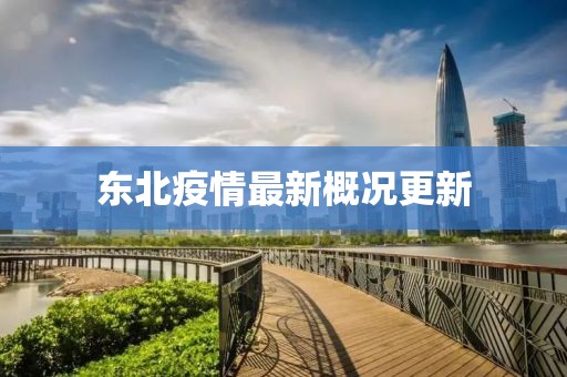 东北疫情最新概况更新