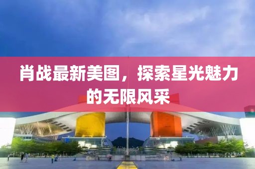 肖战最新美图，探索星光魅力的无限风采