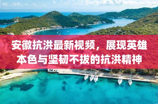 安徽抗洪最新视频，展现英雄本色与坚韧不拔的抗洪精神