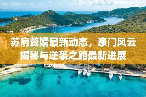 苏府赘婿最新动态，豪门风云揭秘与逆袭之路最新进展