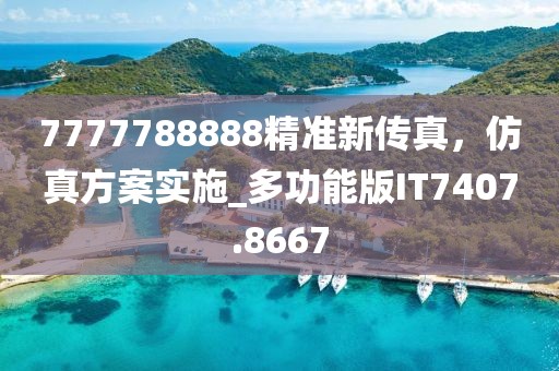 7777788888精准新传真，仿真方案实施_多功能版IT7407.8667
