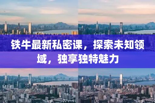 铁牛最新私密课，探索未知领域，独享独特魅力