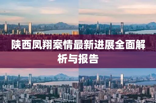陕西凤翔案情最新进展全面解析与报告