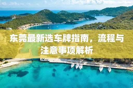 东莞最新选车牌指南，流程与注意事项解析