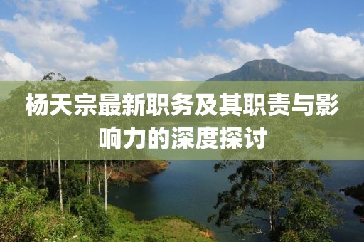 杨天宗最新职务及其职责与影响力的深度探讨