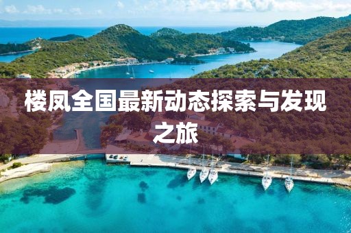 楼凤全国最新动态探索与发现之旅