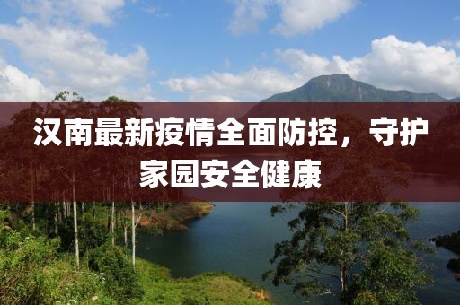 汉南最新疫情全面防控，守护家园安全健康