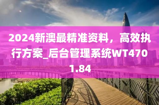 2024新澳最精准资料，高效执行方案_后台管理系统WT4701.84