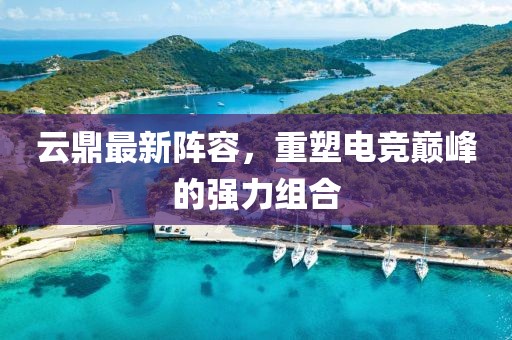 云鼎最新阵容，重塑电竞巅峰的强力组合