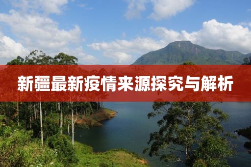 新疆最新疫情来源探究与解析