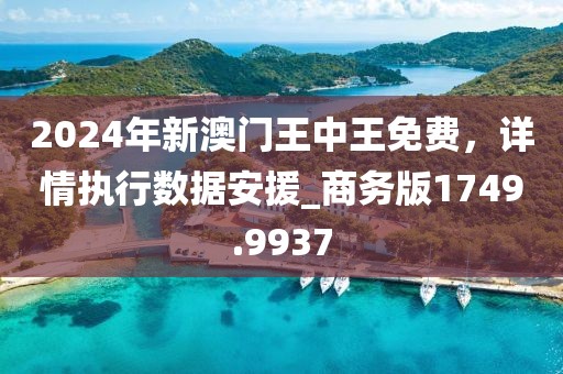 2024年新澳门王中王免费，详情执行数据安援_商务版1749.9937