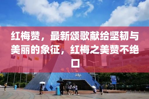 红梅赞，最新颂歌献给坚韧与美丽的象征，红梅之美赞不绝口