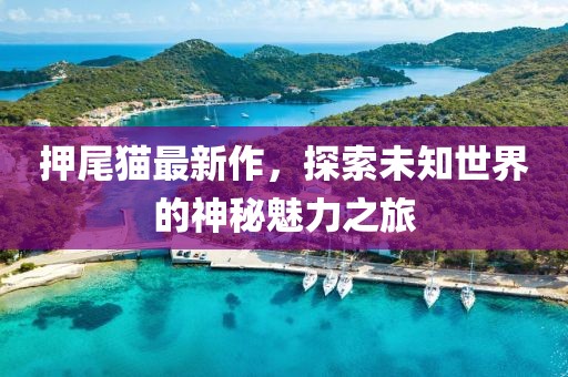 押尾猫最新作，探索未知世界的神秘魅力之旅