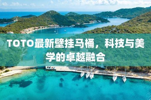 TOTO最新壁挂马桶，科技与美学的卓越融合