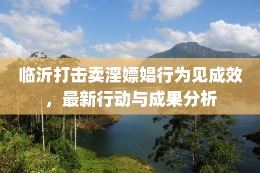 临沂打击卖淫嫖娼行为见成效，最新行动与成果分析