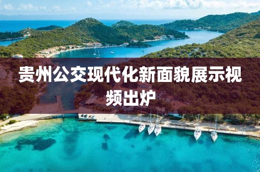 贵州公交现代化新面貌展示视频出炉