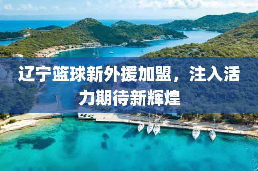 辽宁篮球新外援加盟，注入活力期待新辉煌