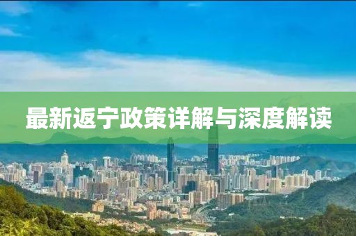 最新返宁政策详解与深度解读