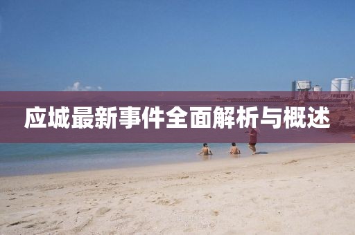 应城最新事件全面解析与概述