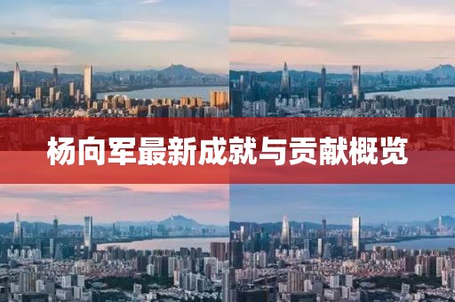 杨向军最新成就与贡献概览