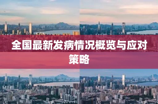 2025年1月 第240页