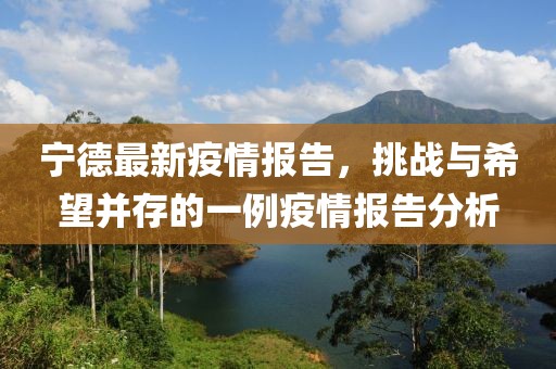 宁德最新疫情报告，挑战与希望并存的一例疫情报告分析