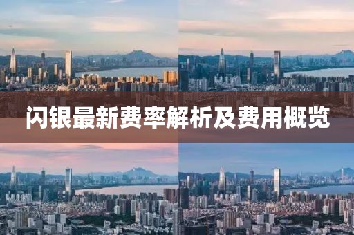 闪银最新费率解析及费用概览
