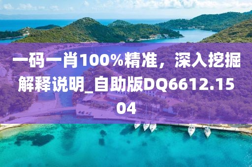 一码一肖100%精准，深入挖掘解释说明_自助版DQ6612.1504