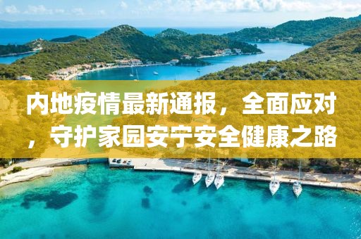 内地疫情最新通报，全面应对，守护家园安宁安全健康之路