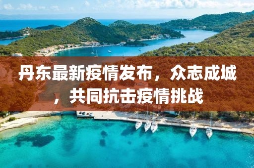 丹东最新疫情发布，众志成城，共同抗击疫情挑战