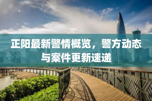 正阳最新警情概览，警方动态与案件更新速递