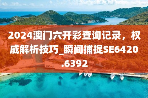 2024澳门六开彩查询记录，权威解析技巧_瞬间捕捉SE6420.6392