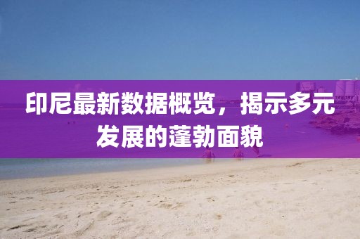 印尼最新数据概览，揭示多元发展的蓬勃面貌