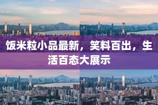 饭米粒小品最新，笑料百出，生活百态大展示