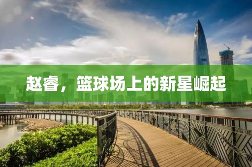 赵睿，篮球场上的新星崛起