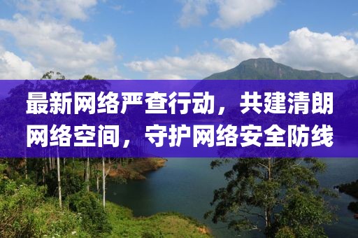 最新网络严查行动，共建清朗网络空间，守护网络安全防线