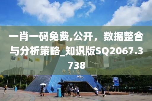 一肖一码免费,公开，数据整合与分析策略_知识版SQ2067.3738