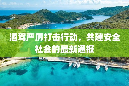 酒驾严厉打击行动，共建安全社会的最新通报