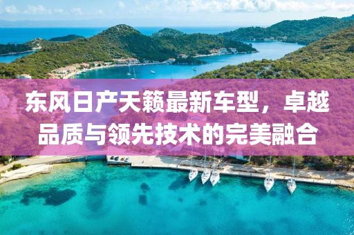 东风日产天籁最新车型，卓越品质与领先技术的完美融合
