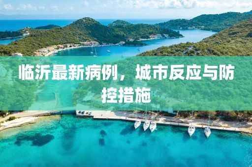 临沂最新病例，城市反应与防控措施