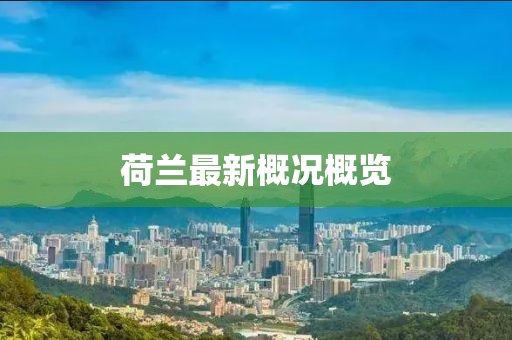 荷兰最新概况概览