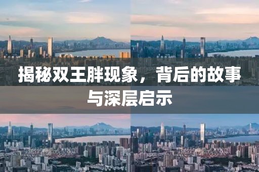 揭秘双王胖现象，背后的故事与深层启示