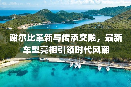 谢尔比革新与传承交融，最新车型亮相引领时代风潮