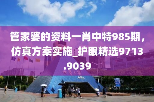 管家婆的资料一肖中特985期，仿真方案实施_护眼精选9713.9039